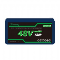 WW4850-51.2V-50Ah Lithium lead-acid batteries
