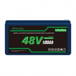 WW48100-51.2V-100Ah Lithium lead-acid batteries
